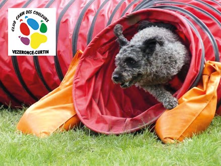 Club Canin des Couleurs